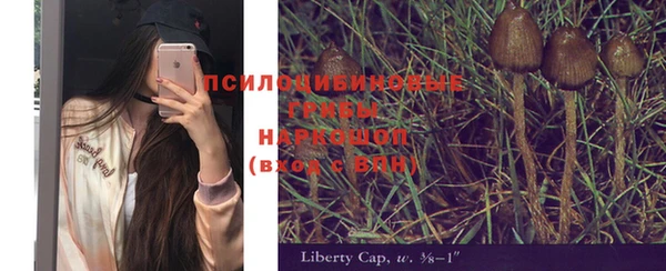 2c-b Баксан
