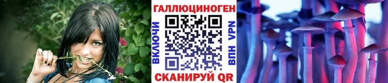 купить наркотики сайты  Харабали  Галлюциногенные грибы MAGIC MUSHROOMS 